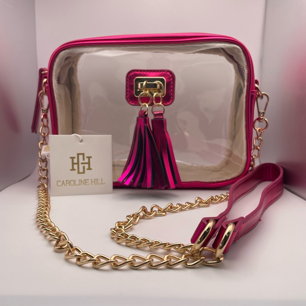 Clear Crossbody Bag in Fuschia and Gold Chain and Hardware